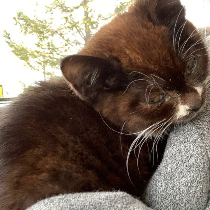 63276805 d0f2 4f51 be0c 650d3df2419d 1579346405811