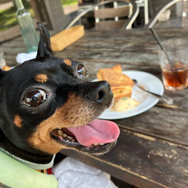 632777af a10b 4c90 8371 62a95c890ecb 1724192796318