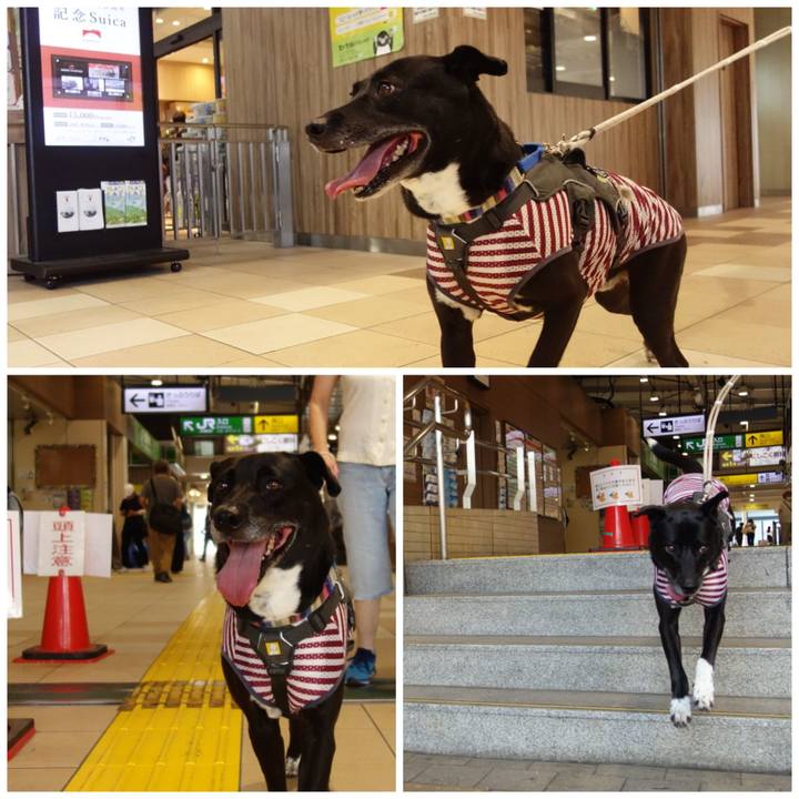 6327bc05 ae56 49d4 ba57 b02b118d347f 1656718014156