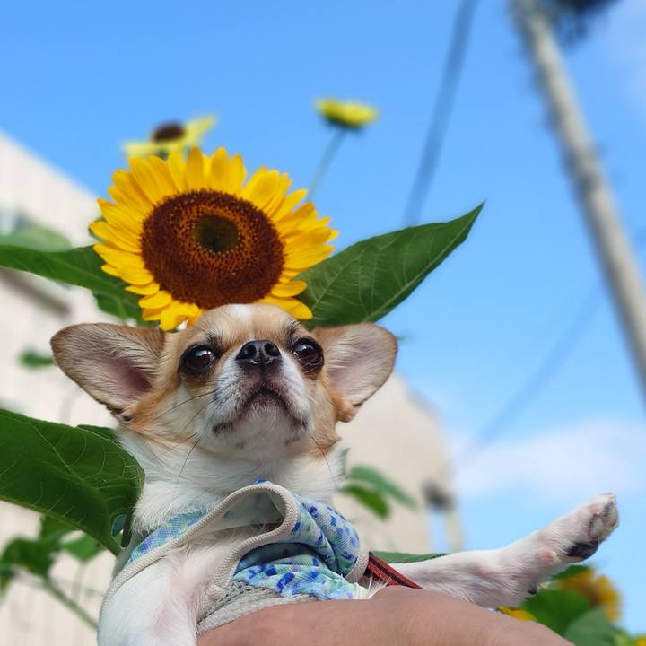 6327c121 eea9 4889 96c9 c3c4902367da 1627546249417