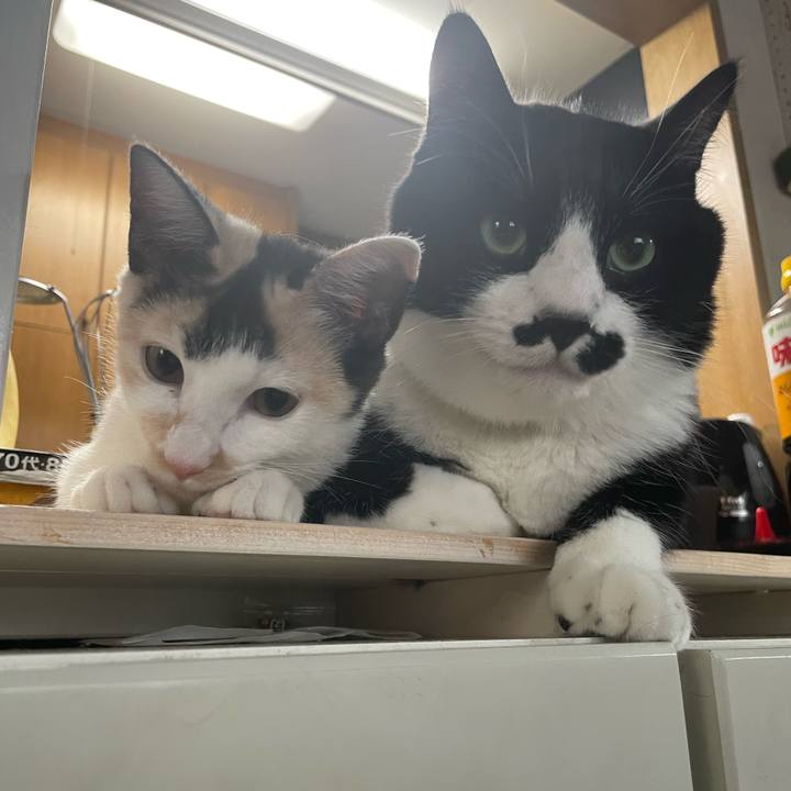 6327d734 cdc4 452f bdce 5f56b71a530e 1663710850355