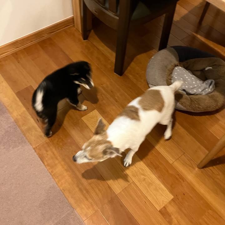 6327eda1 ee3e 427d 8b80 3867c05cd8ae 1775991981479