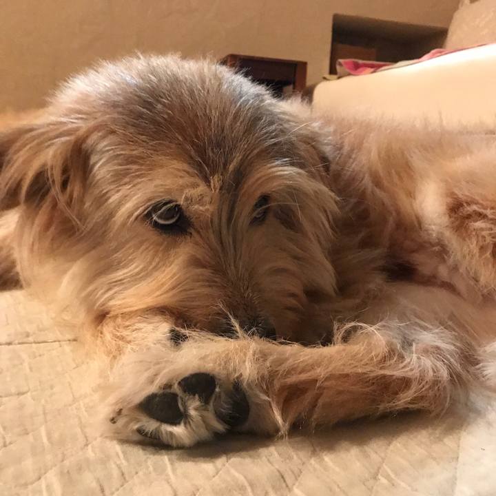 632826a9 fd08 438c 8226 dc829cf84955 1540373667397