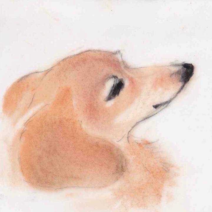 632837c3 c10b 4063 a1af ba1fa0d062c3 1636163379525