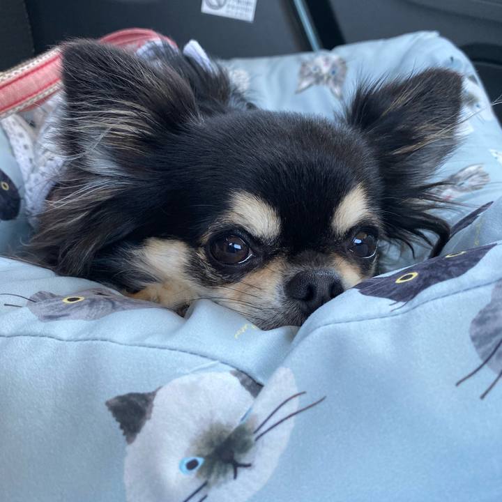 63285813 5979 45f0 bc72 bc0d2ce18ab7 1655033125008