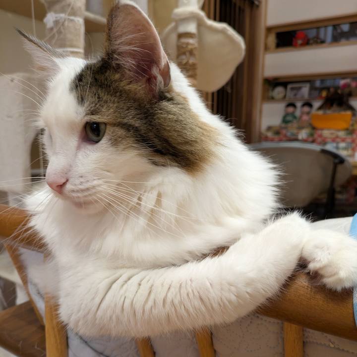 63285dcf a9ef 4ceb aa3b 066125c3262c 1762517520891