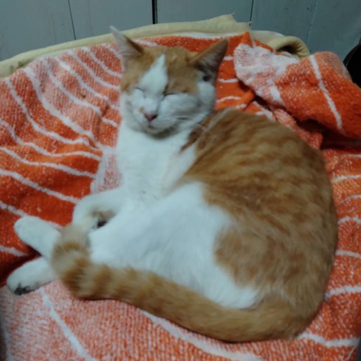 63286809 00ae 444d 8b07 003ca5f63e24 1738236207405