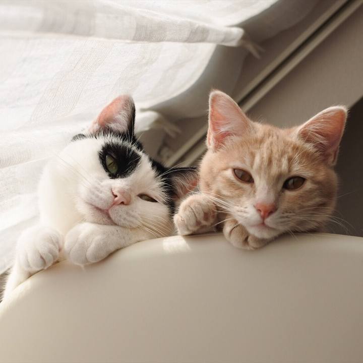 63288cf7 b526 48e8 8690 cefc8bddb8ad 1548230511746