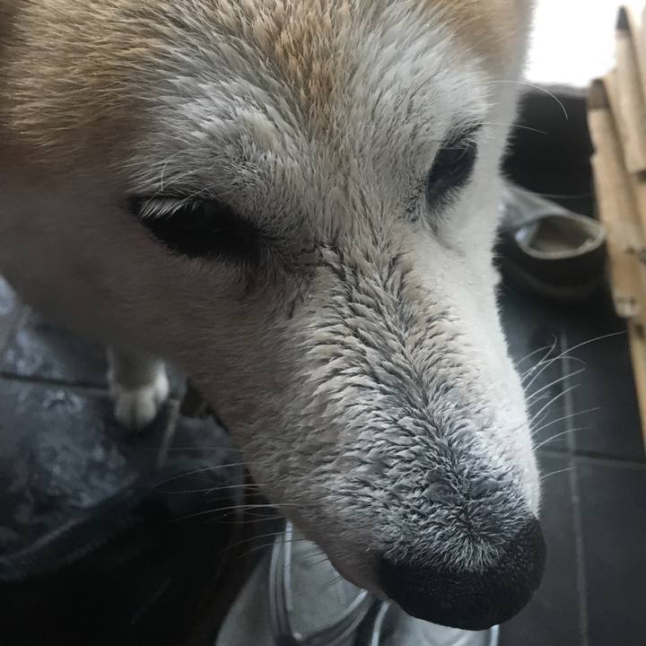 6328cf8b 5a47 4306 958e e6df279b9d7a 1530866461545