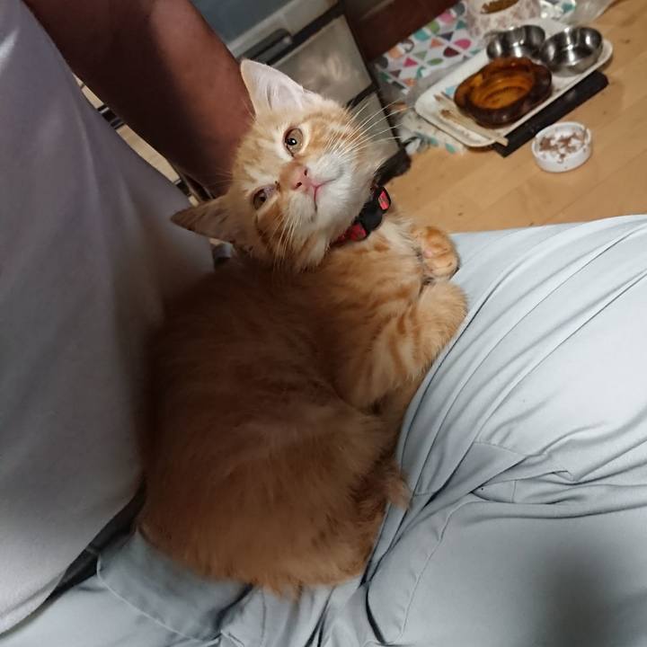 6328d5e7 daae 4c00 a5ee 3adb345f6b9d 1629195244621