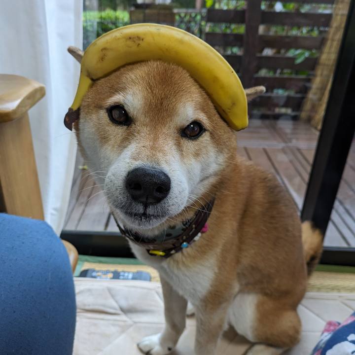 6328e8d3 4b4e 4a0e 98ec f6e10ffd82ed 1708605003797