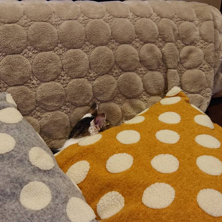 6328fab0 434a 434b 9783 ba65c7c2f8f5 1582804766142