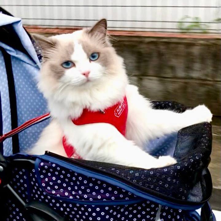 63290af7 50ce 4f34 ac3a c064fbfaa618 1627121824705