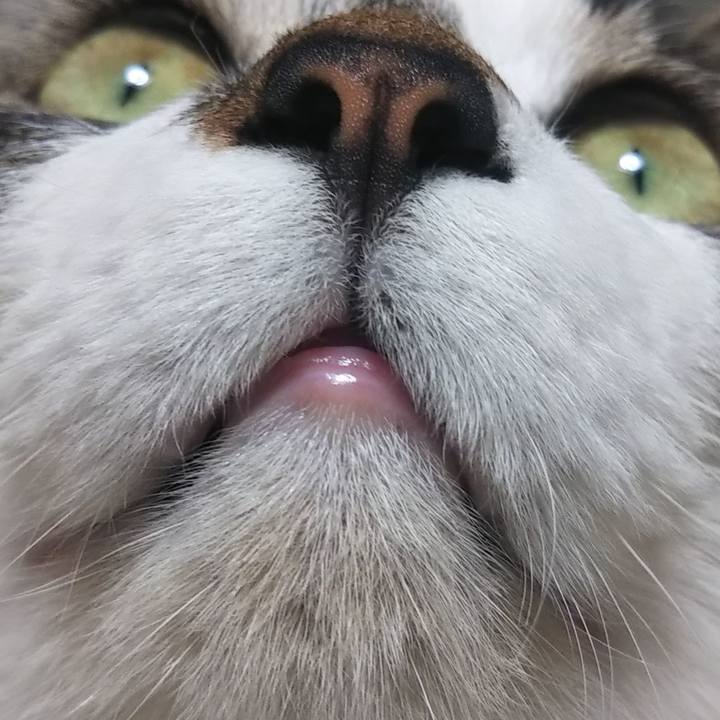 63292154 cc48 4383 9350 92069fe3a4c8 1610360088423