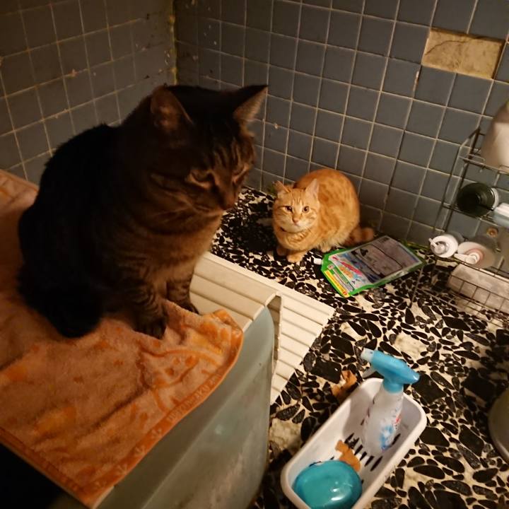 63295221 a228 4743 b68f c168064346e6 1644319553768