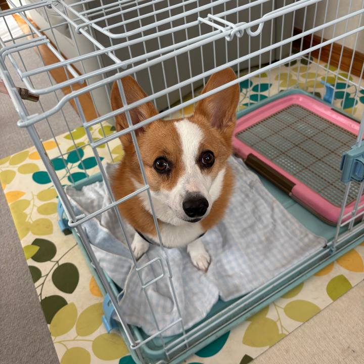 63295ecf c310 4b75 8f12 9e792d8d703b 1760682399493