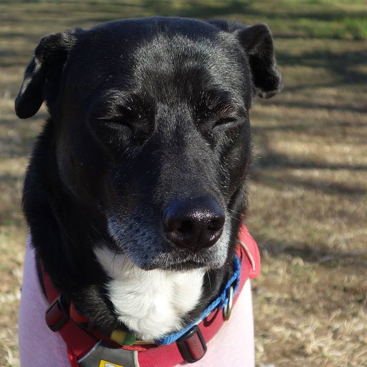 63296cc4 b72b 48fe 8c96 6a111cd2bffe 1677374780041