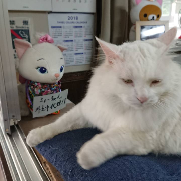 632979dd 9755 48c4 b174 437f4c1e967b 1533251007764