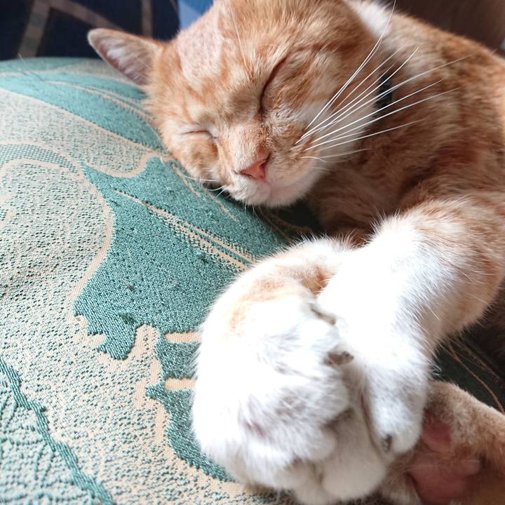 63297d26 937c 4563 be1b 5cc16259fb48 1567298571232