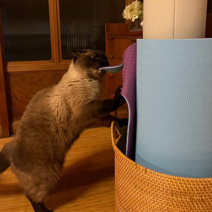 6329b2ad 65d0 4e69 99e0 75a5901dcff2 1720307995158