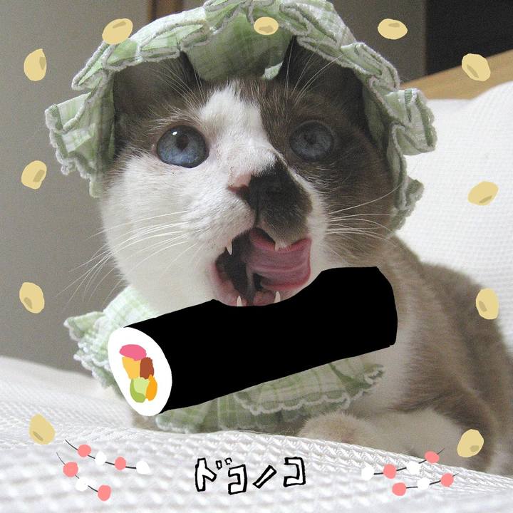 6329b659 5742 40df 93fa e3c6b46c130a 1741242986333