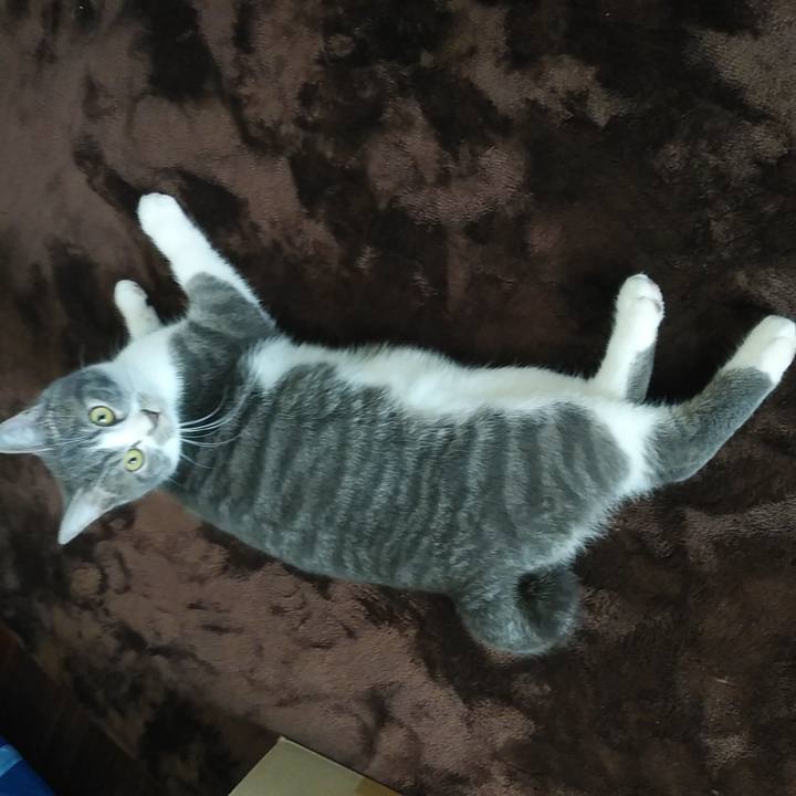 6329d4fe f48a 49d3 9916 7403a9230960 1575416468593