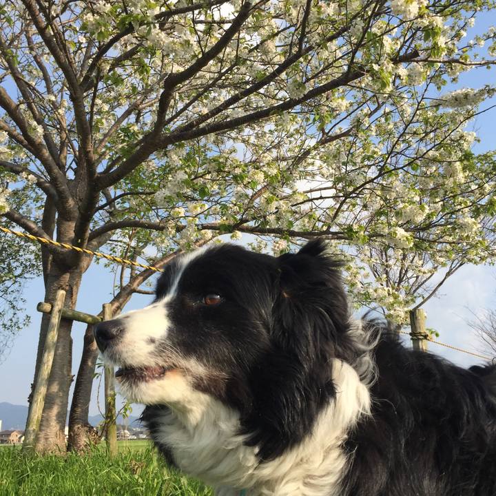 6329e558 a2a8 4b32 94a8 8d1db3c842d3 1585784763260