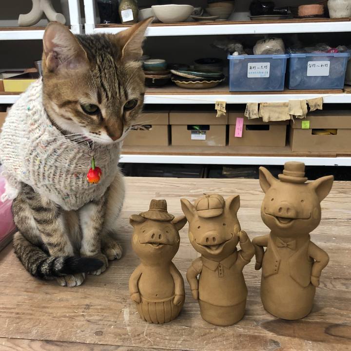 6329edfb 5b18 4109 9210 a2c2cd6a93e2 1644481546448