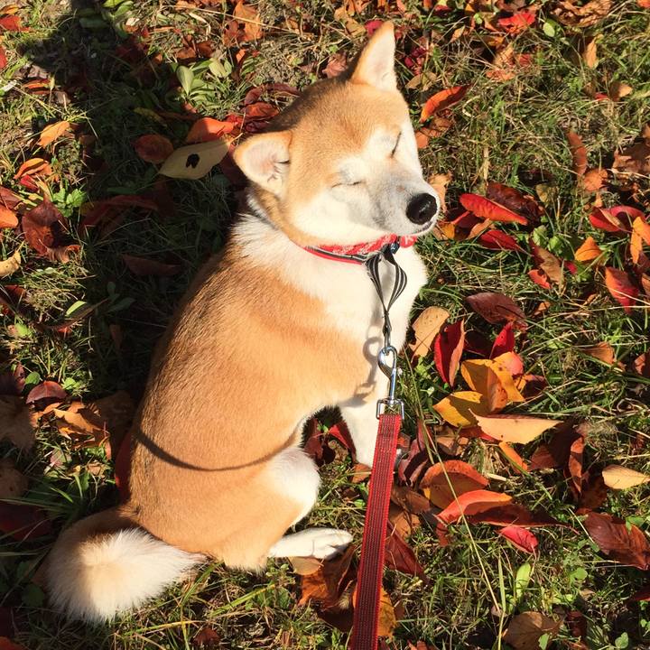 6329fc5d 5dee 4871 aaa6 a1b228a53109 1509929639393