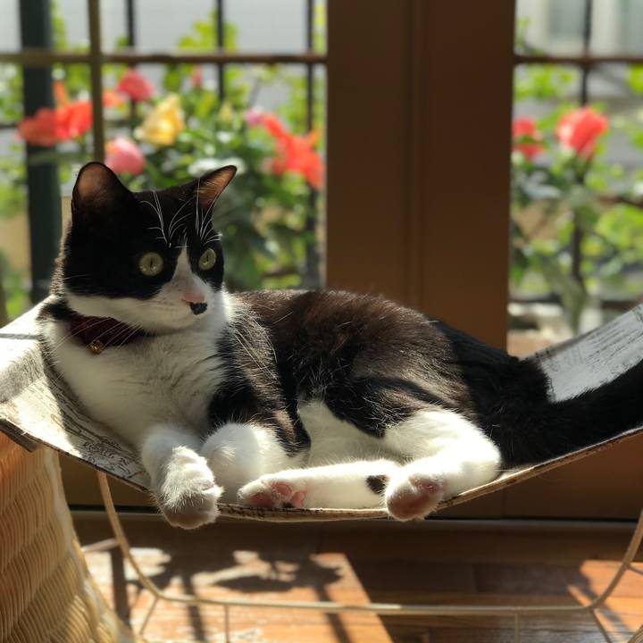 632a00f2 3ea9 487a 9813 dc6232fa8fd9 1560907459702