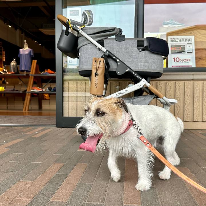 632a7760 d8e2 4a30 a2d1 7521258c41cd 1689466017441