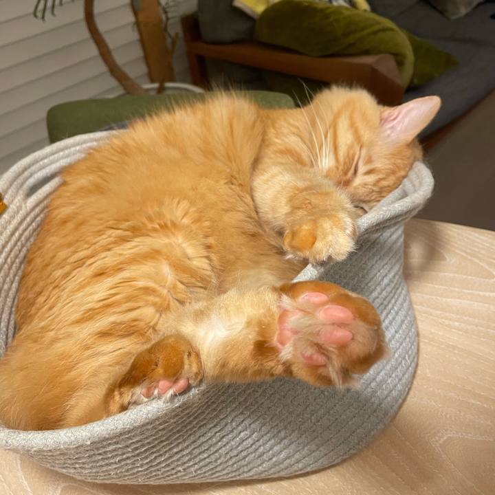 632a9cd2 83ae 4879 91bb 647ae1ecf8ea 1765370593874