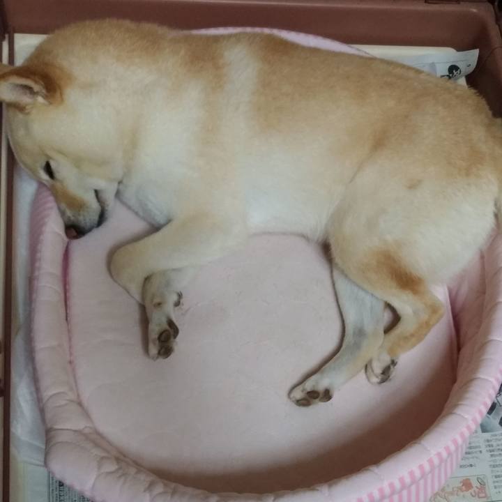 632aaaea 1d0b 40c1 98d7 18c0090b0794 1594384902997