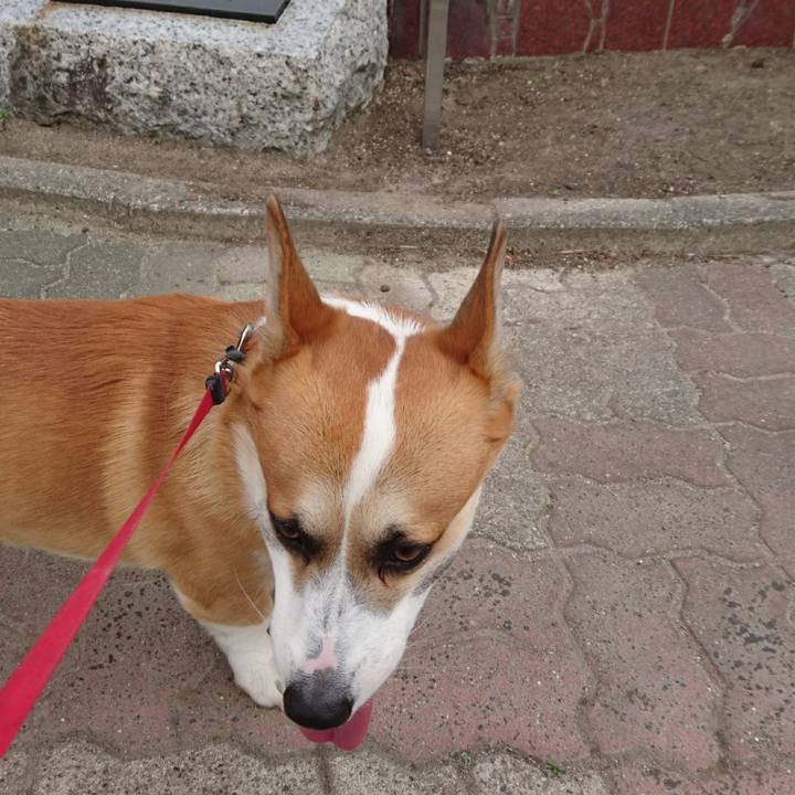 632aefc3 2f74 41dc 91ae fc641ffd29ea 1606286352059