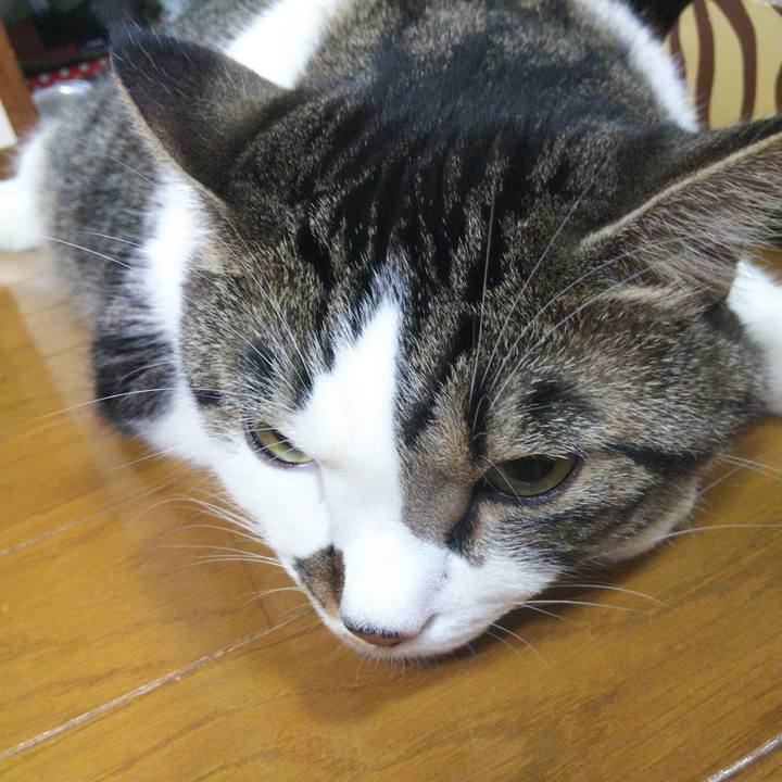 632b1585 40af 4cbe 9faa d19245be21aa 1661078389887