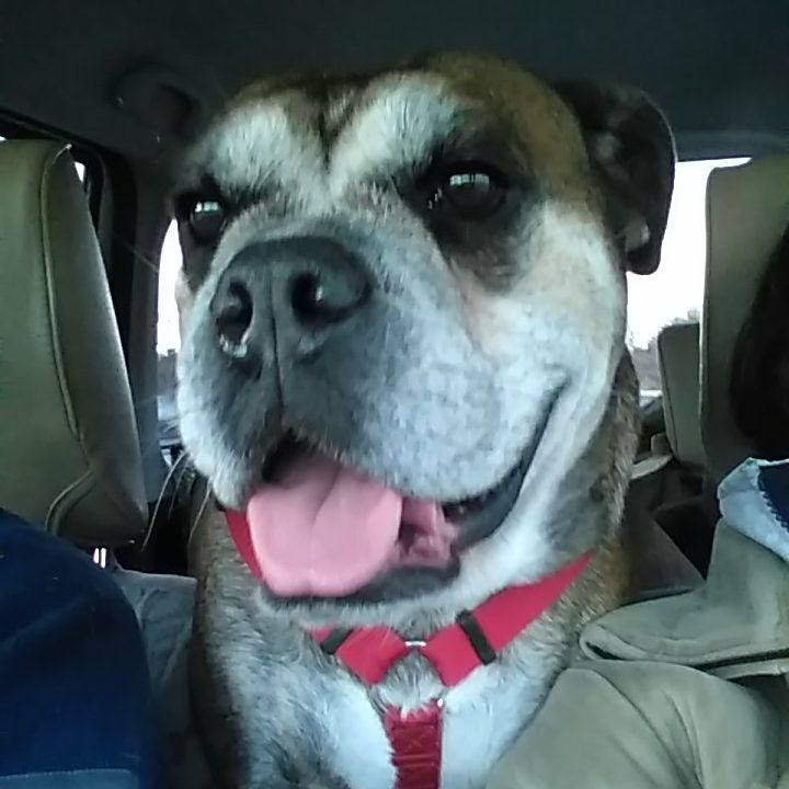 632b25f4 2e3a 4346 8ff9 48a8aa32c6b1 1514901054815