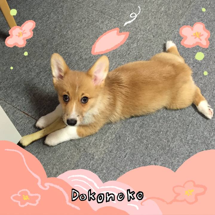 632b5d66 17fd 4781 9a62 51b9a8a11450 1775790645926