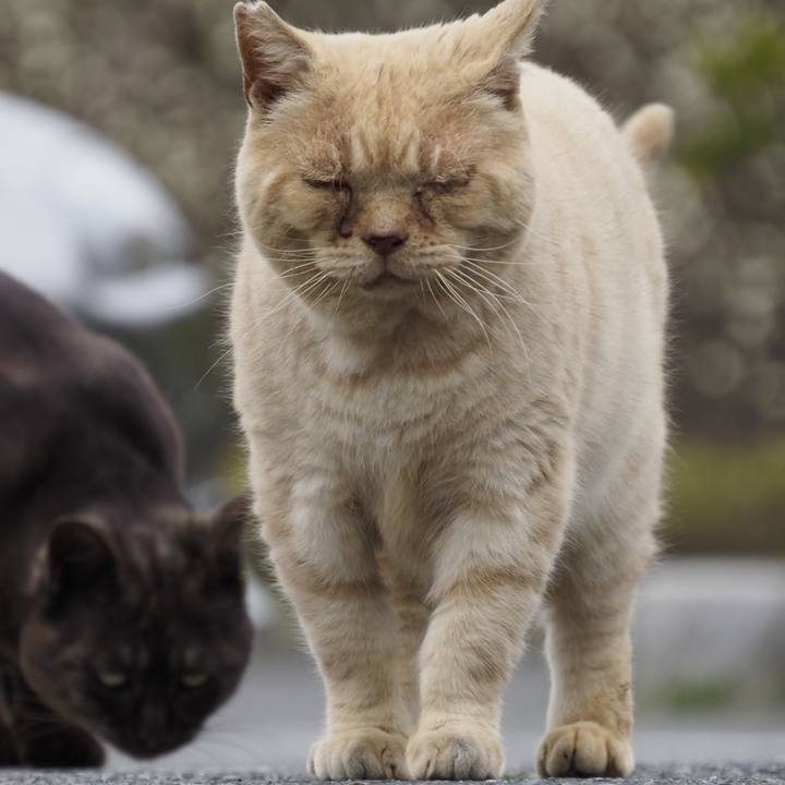 632b6f77 06f1 4deb 95d4 fb55e9390c7c 1616826414889