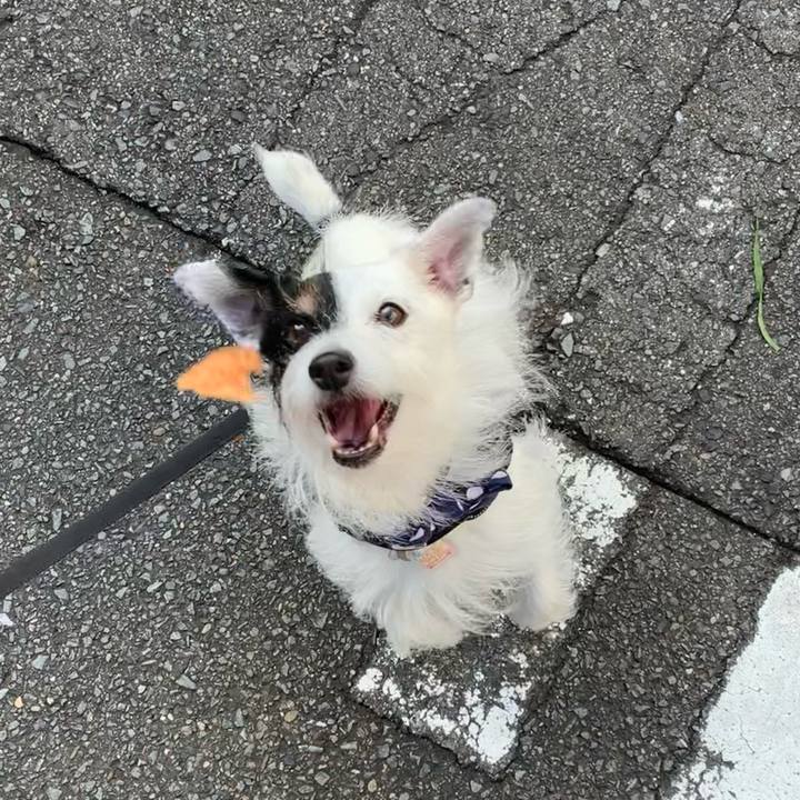 632b8b38 fda8 4fd6 86d6 7b800cd25a15 1664495863348