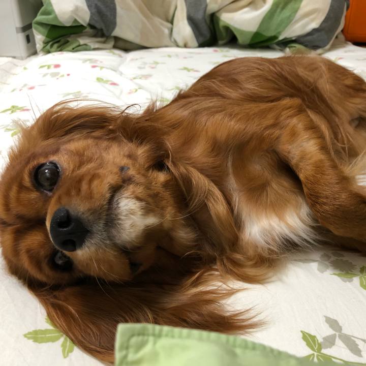 632bb59b f530 4dbf 9ab9 ea6f80499940 1561892498884