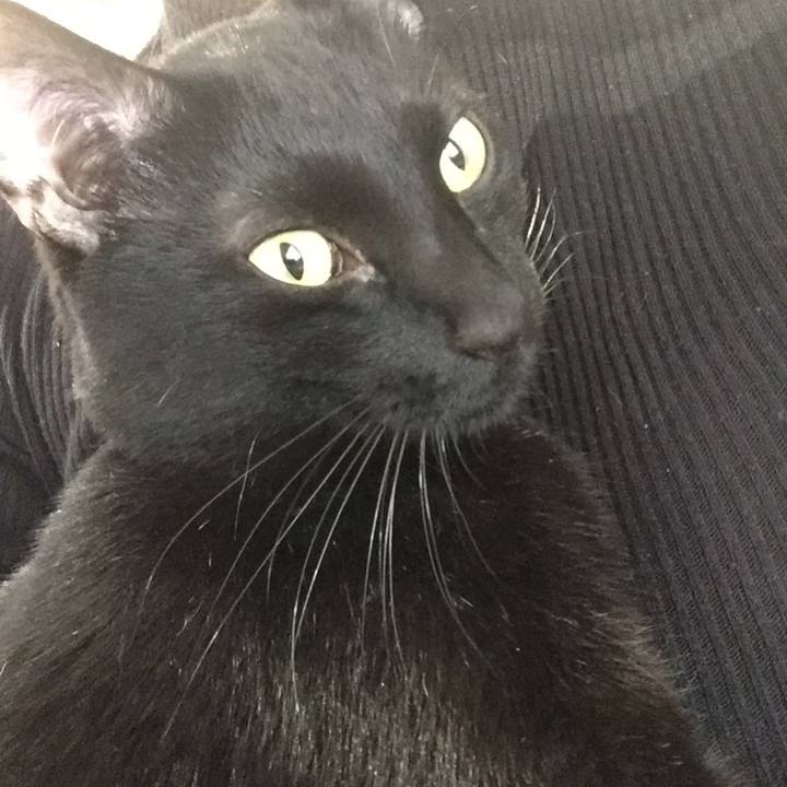 632bc8c2 a903 495b 9b48 4d2b8a001c84 1511133936836