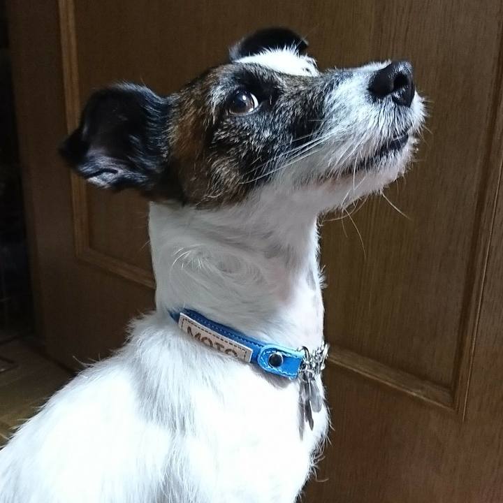 632bf671 0ac0 424f 8262 649d4b032067 1548596296714