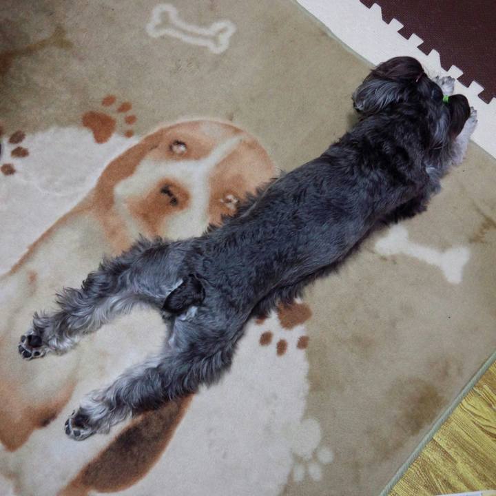 632c3740 379e 40f7 86a8 eb7bd11487fc 1509698875485