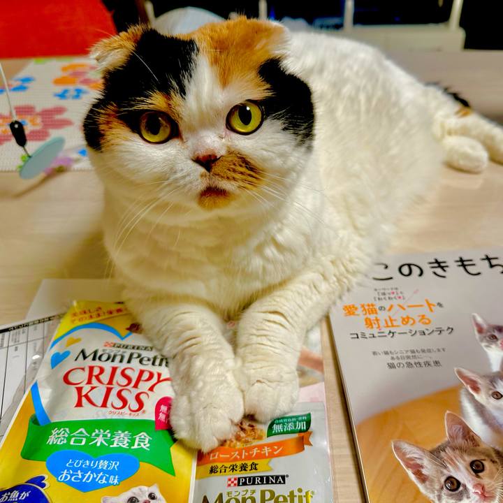 632c412f 38fd 4bae ac10 03f5eeb5ca0d 1683585516487