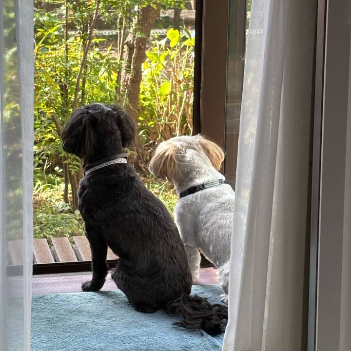 632c4258 0048 40c2 837c 143239d2ed99 1728173023656