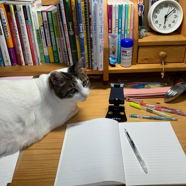 632c60a5 727b 4f96 9423 b3a18aab2961 1639345995359