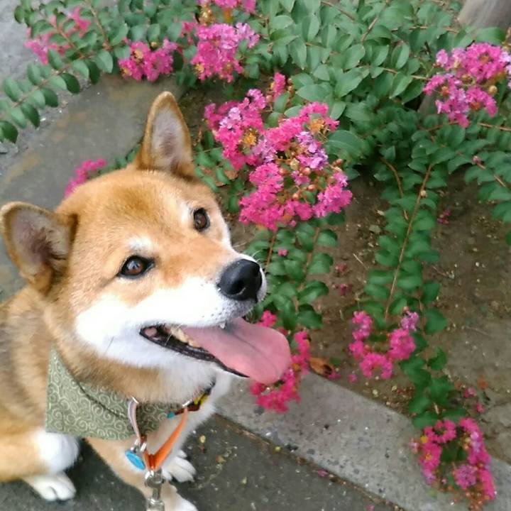 632c65c3 b114 44fc 83a2 6ae595cfeab8 1534755028725