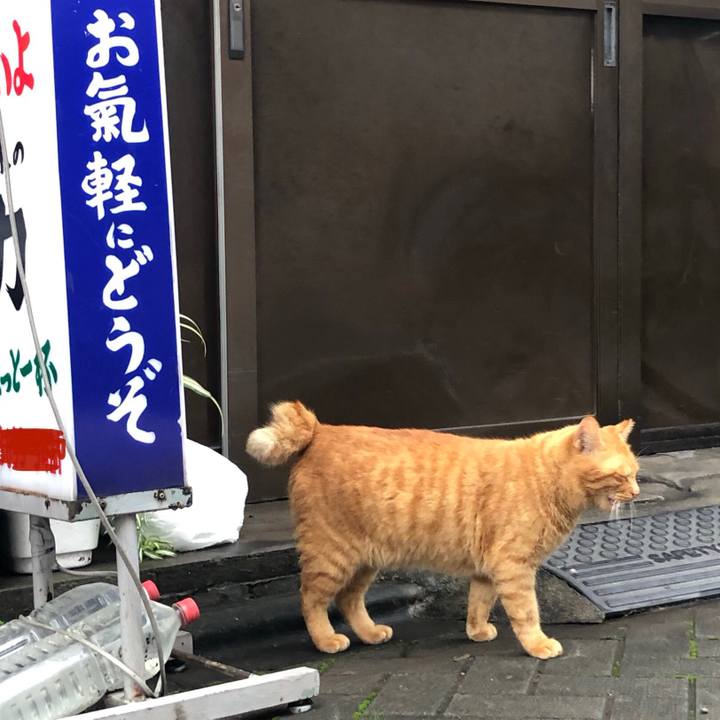 632c9eee 96bc 4d16 9898 37daa280df48 1575206568742