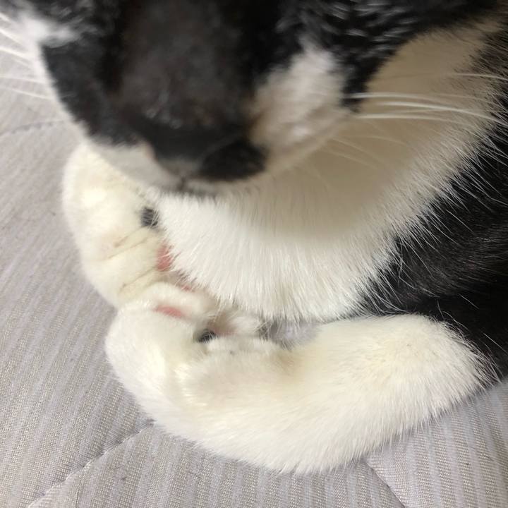 632ca03a 1ae1 493d adde afc4bc5a5ce9 1600094142844