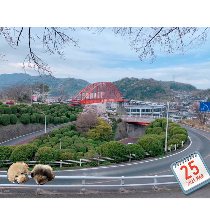 632cde9c 5d36 4a05 b34f 2639bb274d40 1616659327641